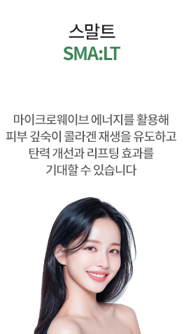 스말트리프팅