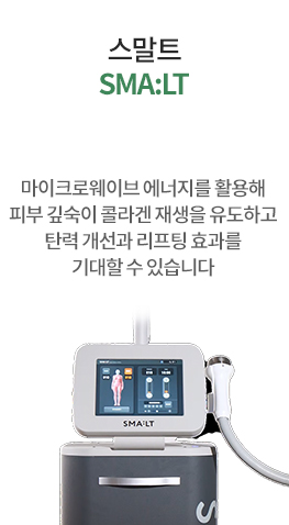 스말트리프팅
